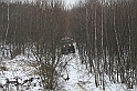 WOSP_Pasternik_2009 027